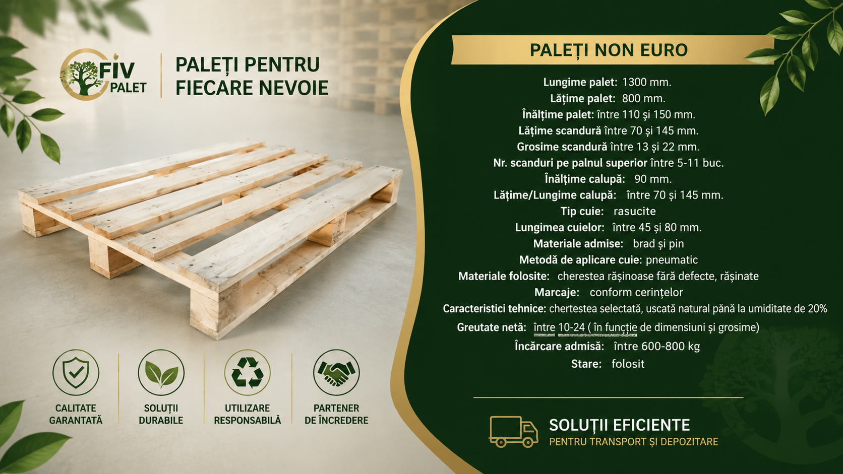non euro